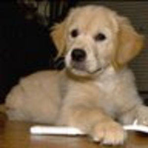 Meet your Posher, Tara